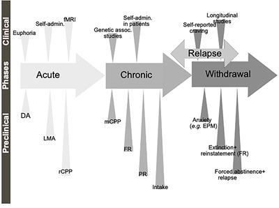 An Overview of Appetite-Regulatory Peptides in Addiction Processes; From Bench to Bed Side